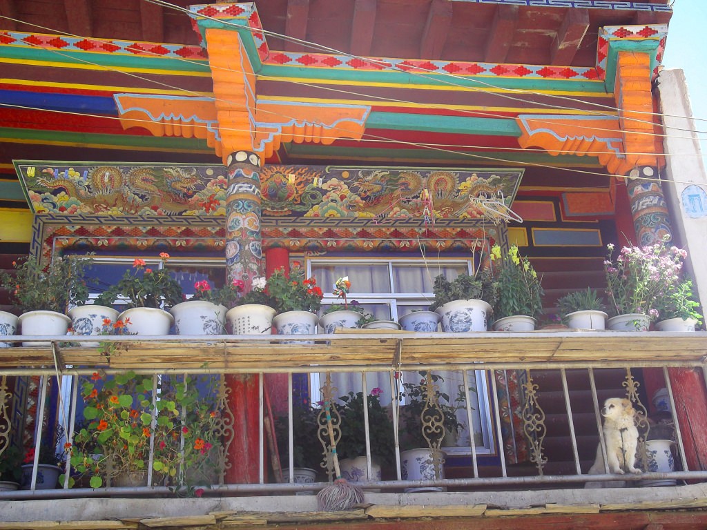 בית טיבטי בגאנדזה - דרך מצויינת לדגום את העולם הטיבטי בתוך סין (צילום: נוגה פייגה)