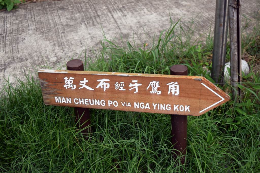 עקבו אחר השלטים למאן-צ'ונג-פו (צילום: טל ניצן)