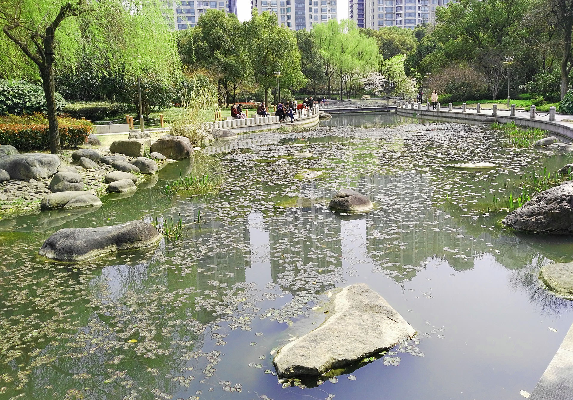 פארק שו-ג'יה-חווי (צילום: נוגה פייגה)