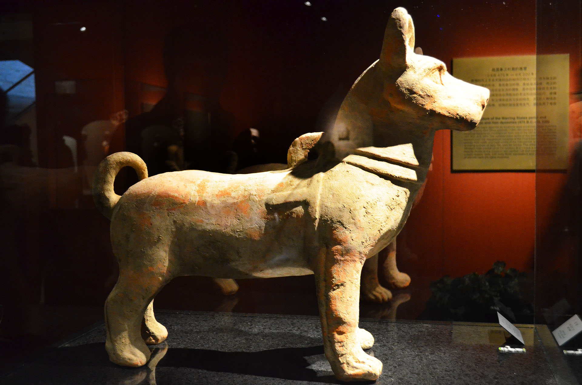 פסל כלב מחאן המזרחית. בגלריה פסלים דקורטיביים ודתיים (צילום: נוגה פייגה)