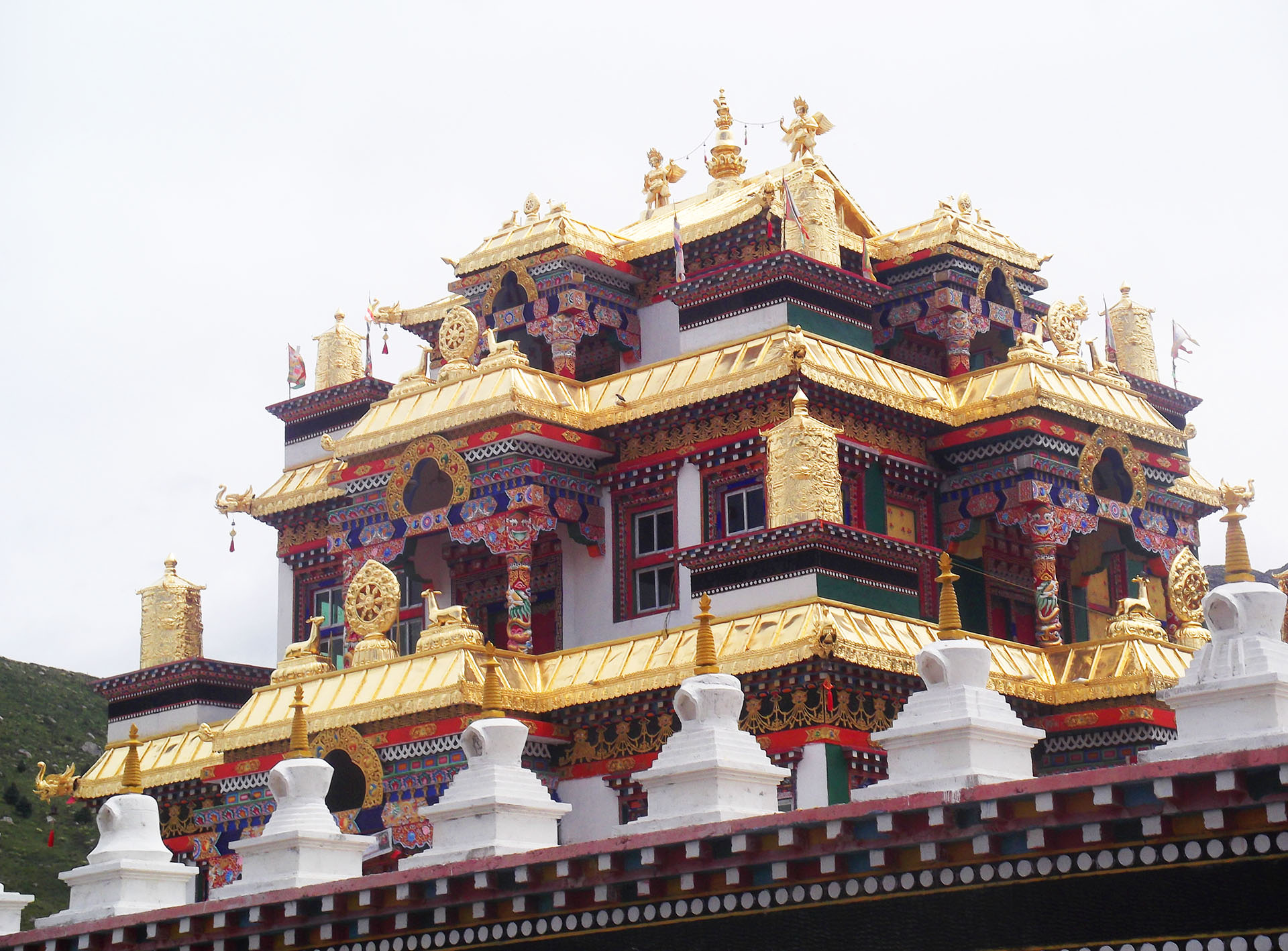 מתחם המקדשים של דזוגצ'ן גומפה (צילום: נוגה פייגה)