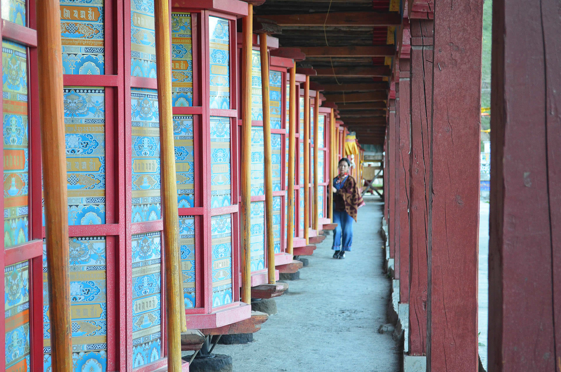 גלגלי התפילה של מנזר טאגונג (צילום: נוגה פייגה)