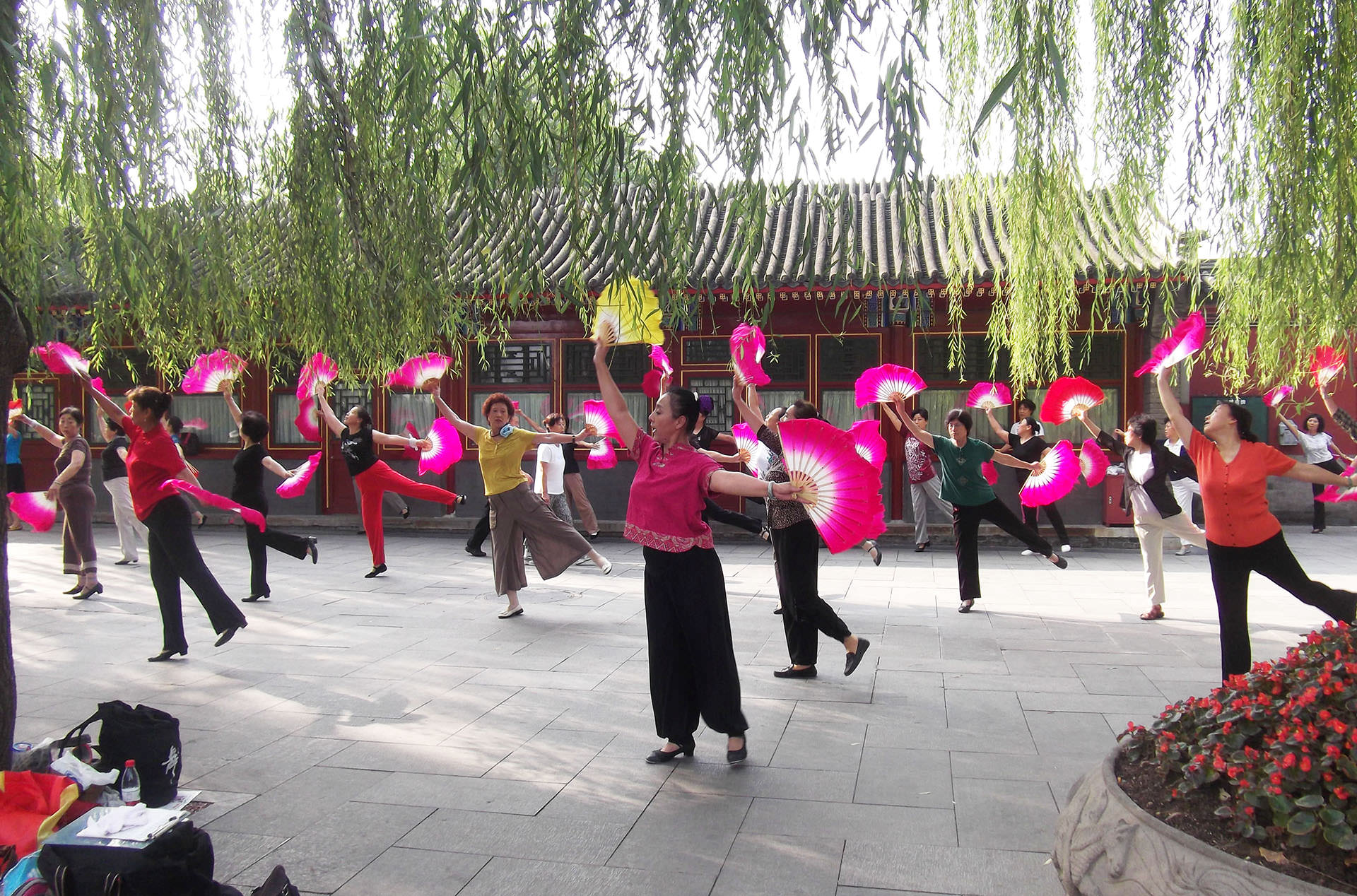 ריקודים בפארק בייחאי (צילום: נוגה פייגה)