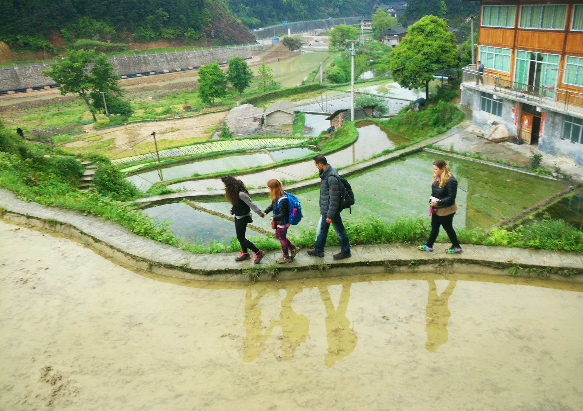 טראסות אורז בדה-טאנג (צילום: יובל לוי)