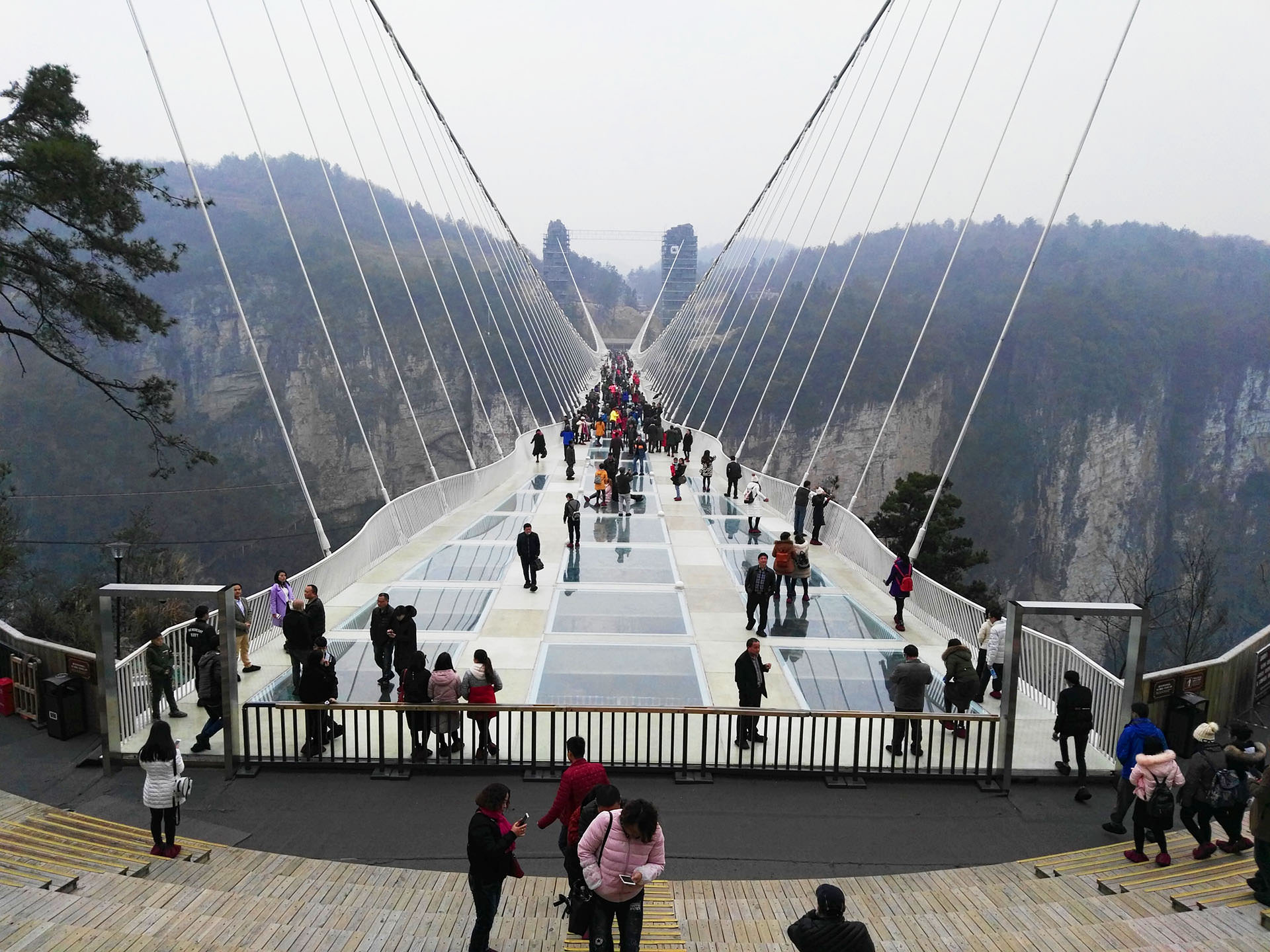 גשר הזכוכית הגדול של עמק דז'אנג-ג'יה-ג'יה (צילום: נוגה פייגה)